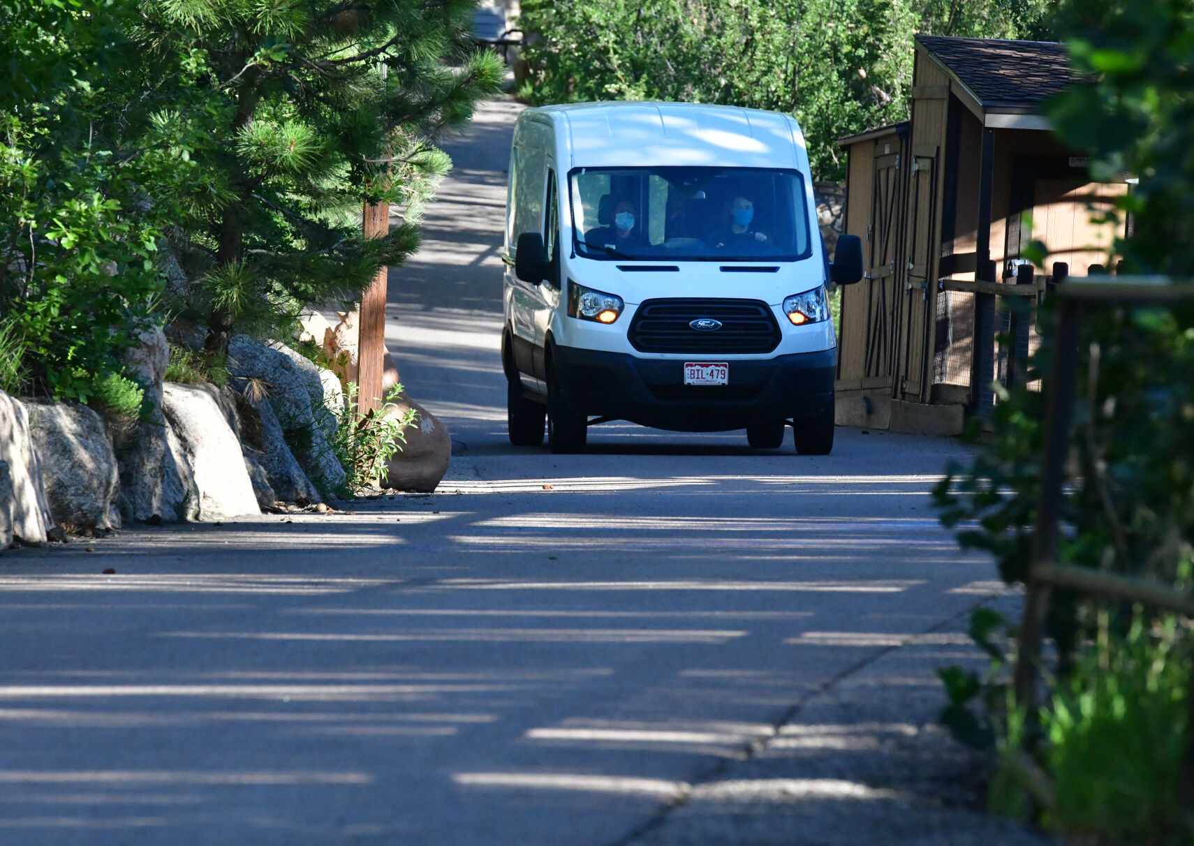 071620-news-moose 02.JPG